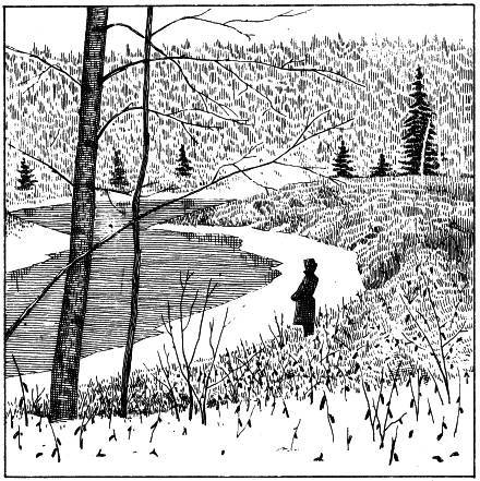 Люди, звери и зоологи (Записки на полях дневника) - _3.jpg