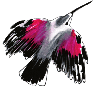 Лягушка на стене - i_001.png