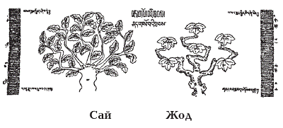 Тибетская медицина - pic_2.png