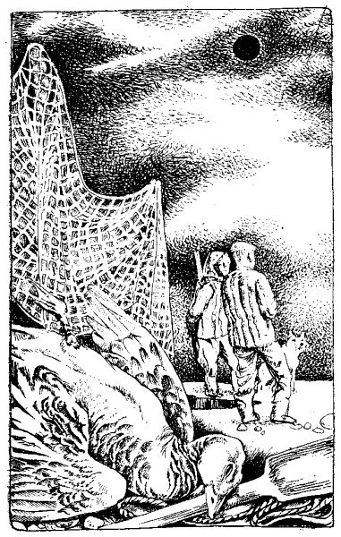 Ураган «Homo Sapiens» - i_004.jpg