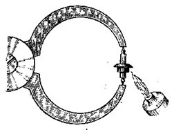 Ремонт часов - _110.jpg