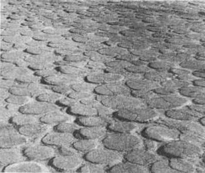 Золотая дуга - i_005.jpg