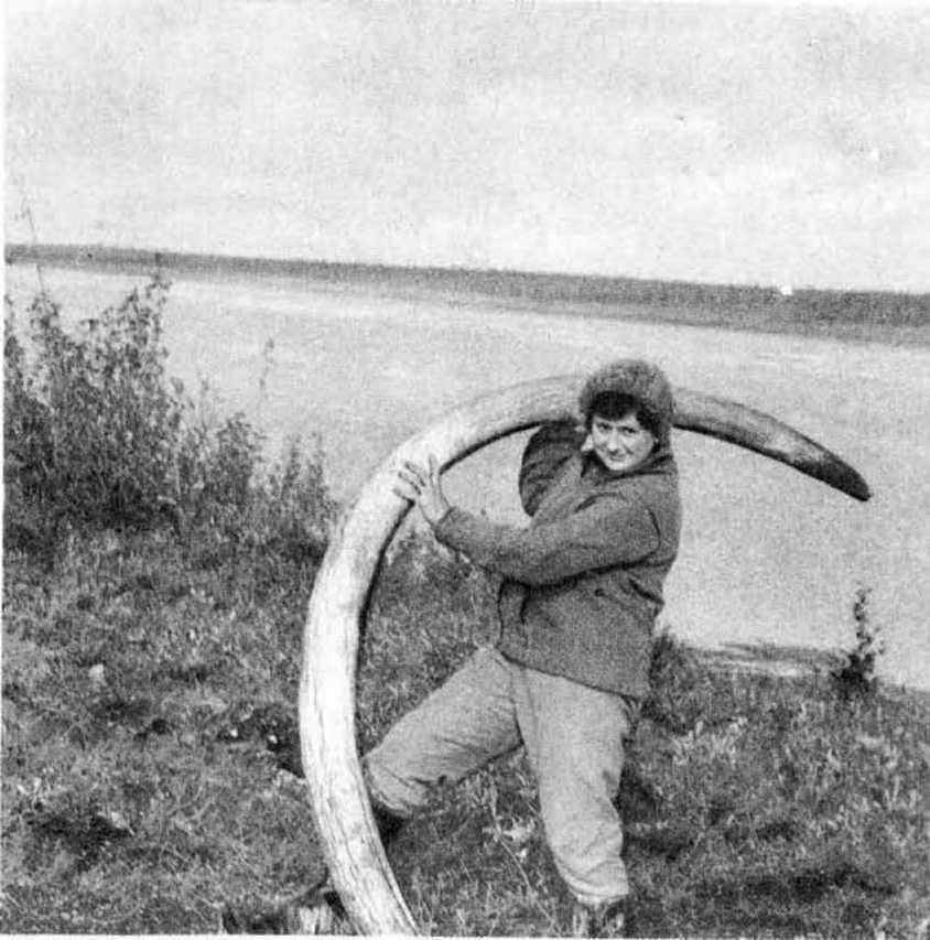 Золотая дуга - i_009.jpg