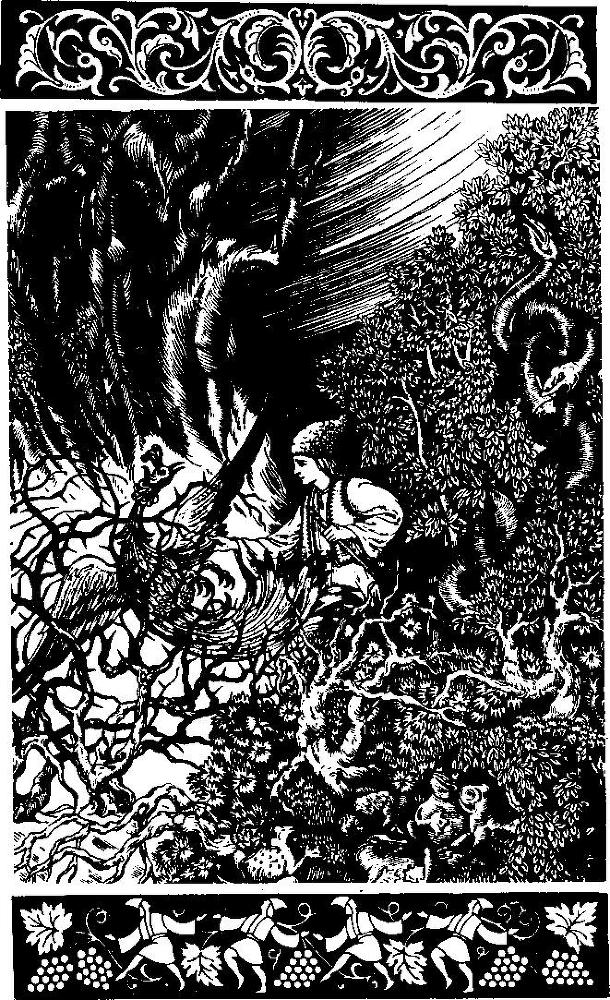 Андриеш - img24DF.jpg