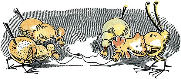 Озорные истории в стихах и картинках - i_007.png