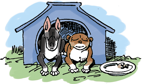 Озорные истории в стихах и картинках - i_125.png