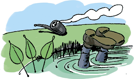 Озорные истории в стихах и картинках - i_191.png