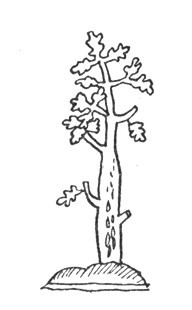 Картины из истории народа чешского. Том 2 - i_179.jpg