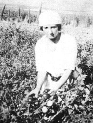 «Звезды», покорившие миллионы сердец - i_062.jpg