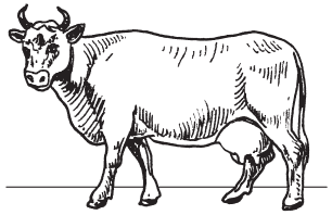 Полная энциклопедия фермера - i_008.png