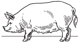 Полная энциклопедия фермера - i_020.png