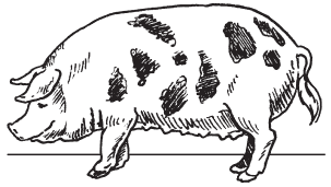 Полная энциклопедия фермера - i_027.png