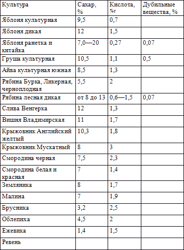 Книга о вине - i_010.png