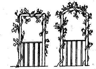 Справочник современного ландшафтного дизайнера - i_006.jpg