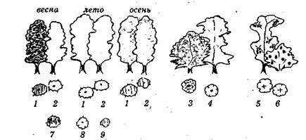 Справочник современного ландшафтного дизайнера - i_030.jpg