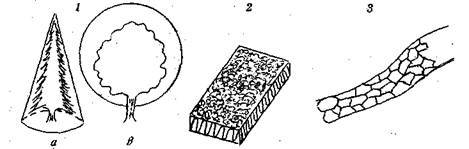 Справочник современного ландшафтного дизайнера - i_046.jpg