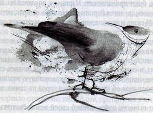 Сундук старого принца - i_046.jpg