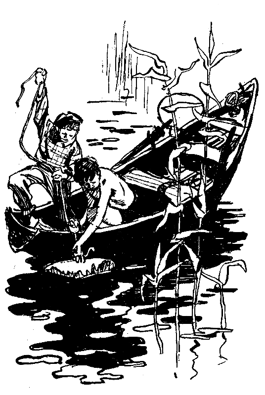 Лето в Калиновке - pic_12.png