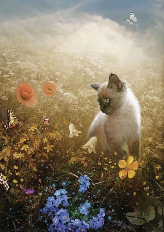 Дары Неба и Солнца - i_001.jpg