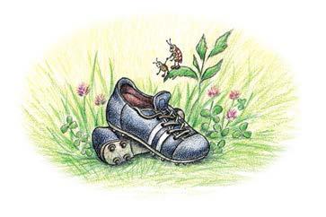 Еня и Еля. Да здравствует футбол! - i_006.jpg