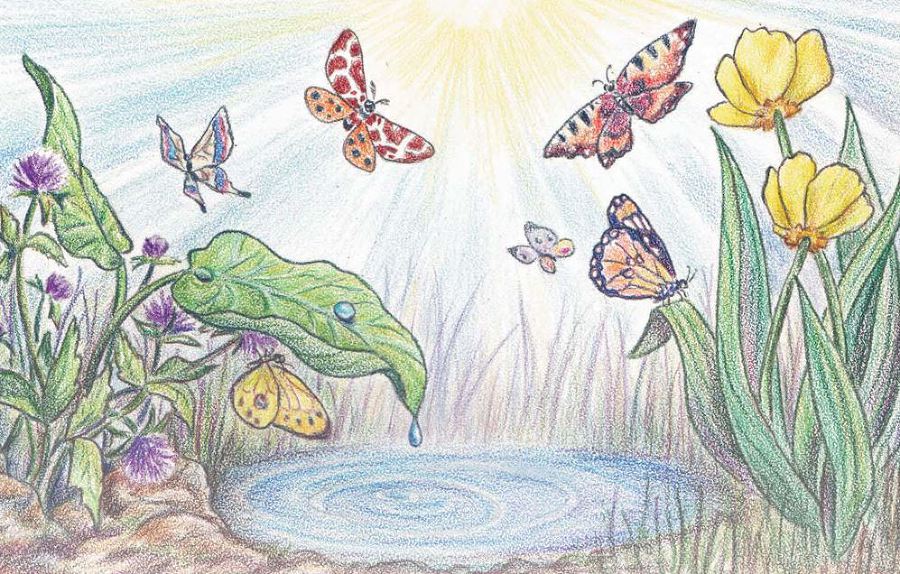 Еня и Еля. Летние истории - imgcd44d8a7e90a4bb686128378646f1f84.jpg