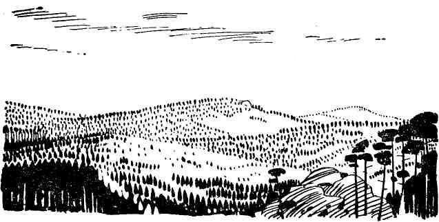 Под уральскими звездами - img_22.jpg