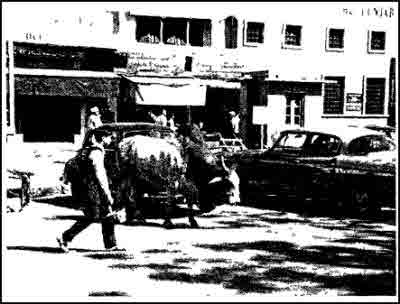 Индия в зеркале веков - i_006.jpg