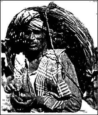 Индия в зеркале веков - i_011.jpg