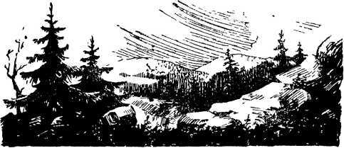 Волокнистый камень - i_002.jpg