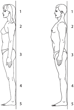 3 лучшие системы от боли в спине - i_007.png