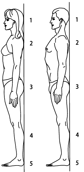 Жизнь без боли в пояснице - i_006.png