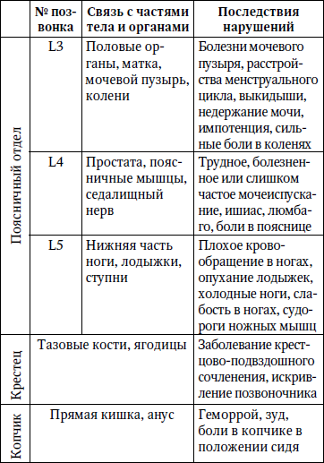 Лечим спину от грыж и протрузий - i_005.png