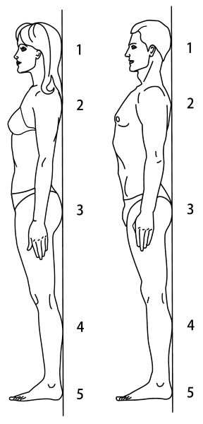 Остеохондроз? Лучшие лечебные упражнения - i_002.jpg