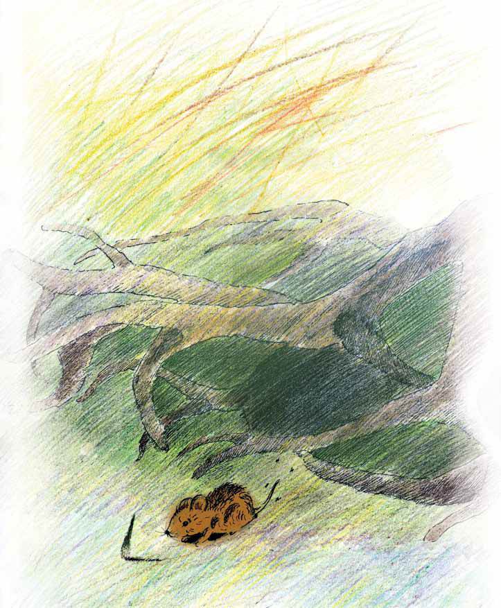 Мышонок и Подснежник - i_003.jpg