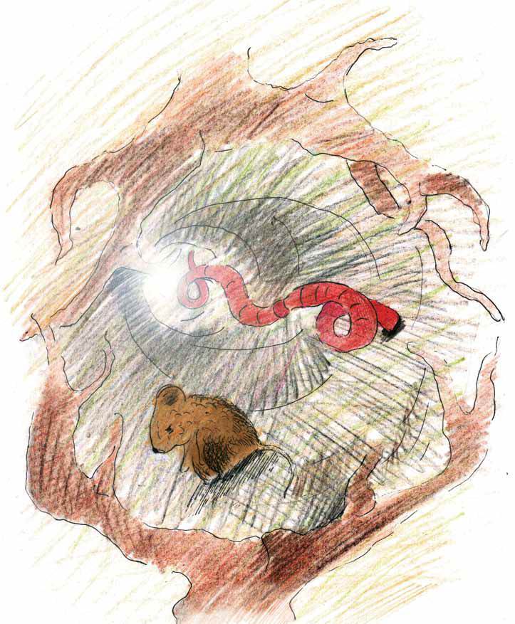 Мышонок и Подснежник - i_005.jpg