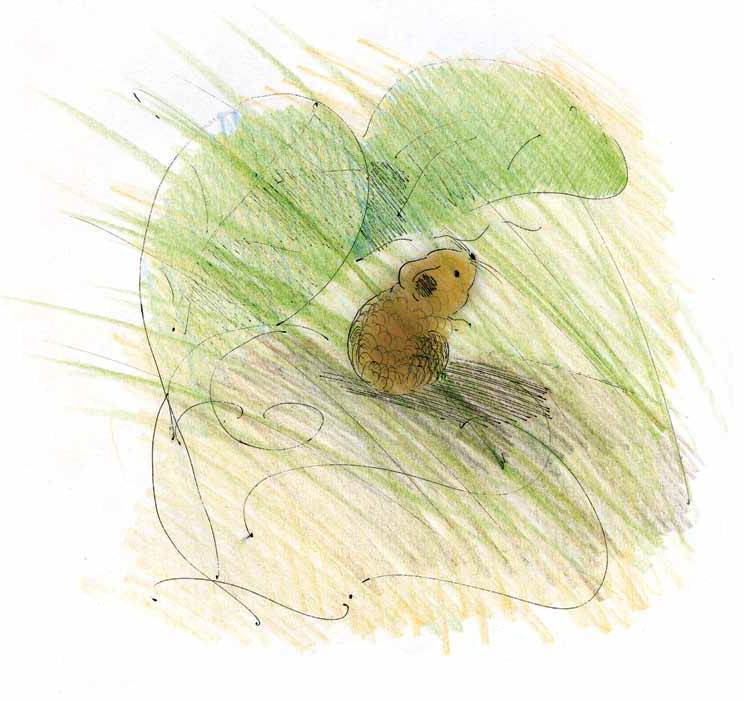 Мышонок и Подснежник - i_013.jpg