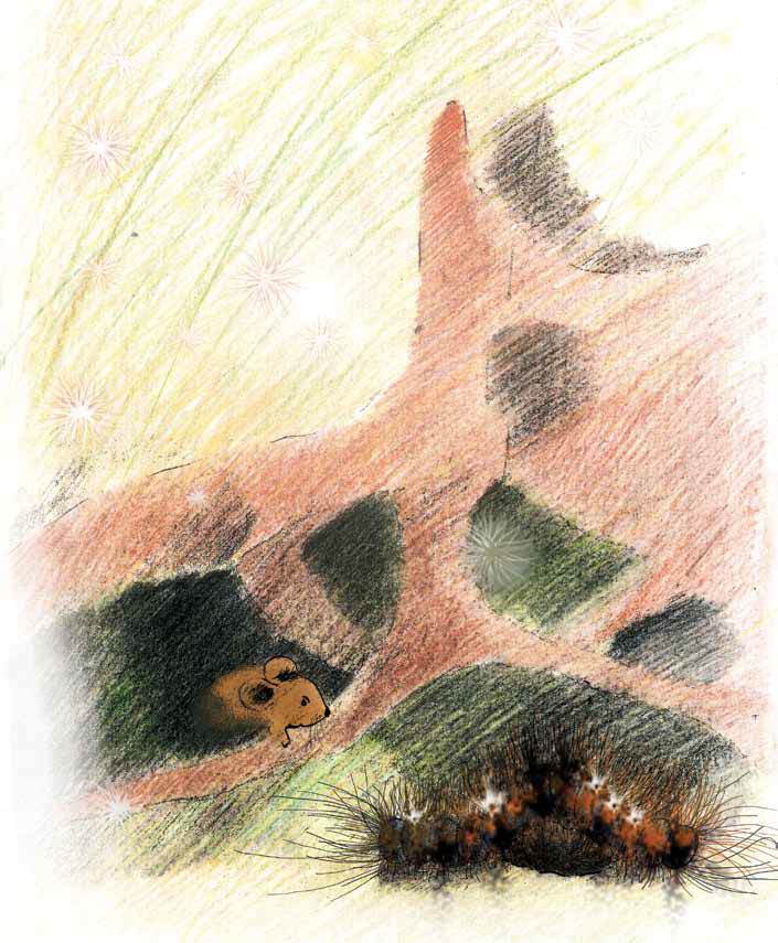 Мышонок и Подснежник - i_018.jpg