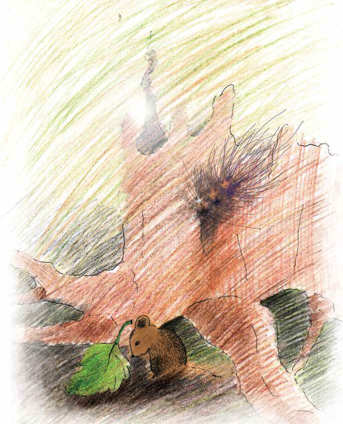 Мышонок и Подснежник - i_019.jpg