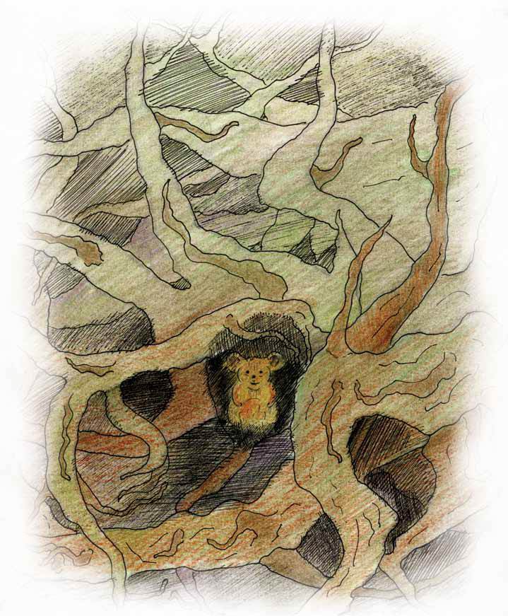 Новая норка - i_001.jpg