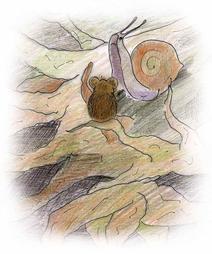 Новая норка - i_002.jpg