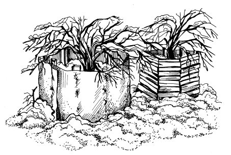 Готовим участок к зиме - i_018.jpg