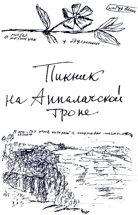 Пикник на Аппалачской тропе - i_032.png