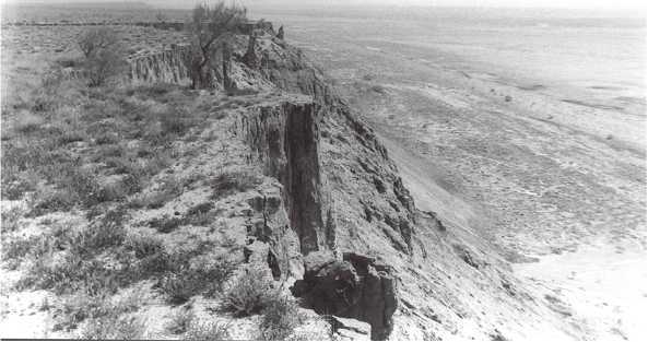 Аральский тупик - i_003.jpg