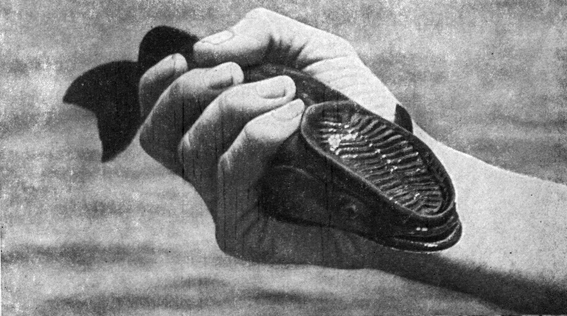 Атлантический рейс - pic_45.jpg