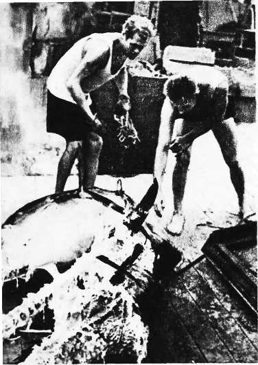 Карибский сувенир - i_021.jpg