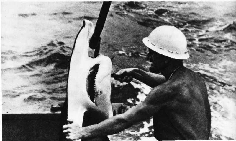 Карибский сувенир - i_022.jpg