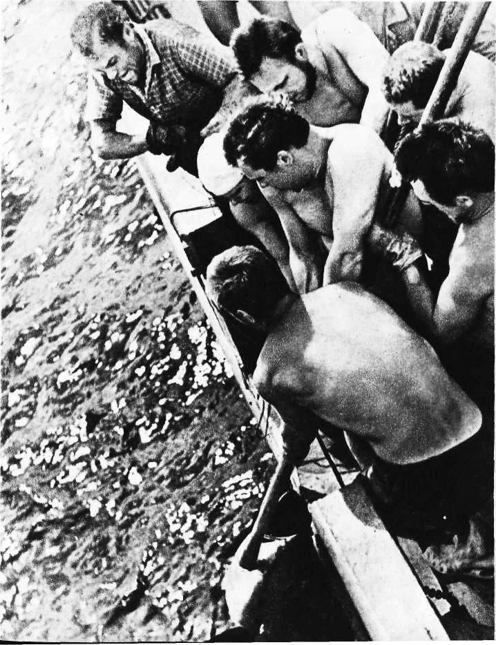 Карибский сувенир - i_036.jpg