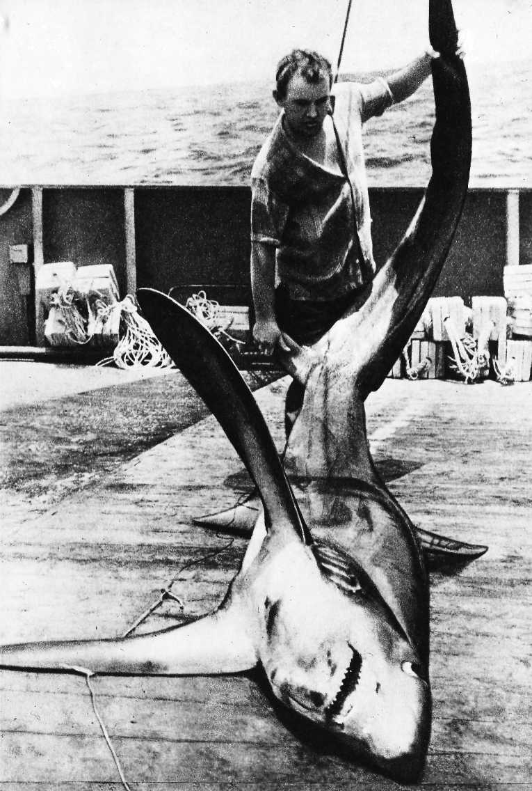 Карибский сувенир - i_037.jpg