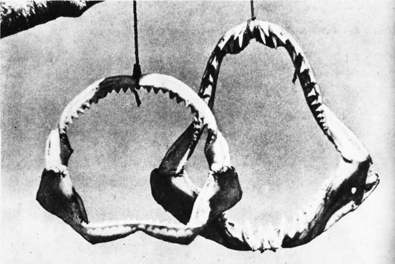 Карибский сувенир - i_041.jpg