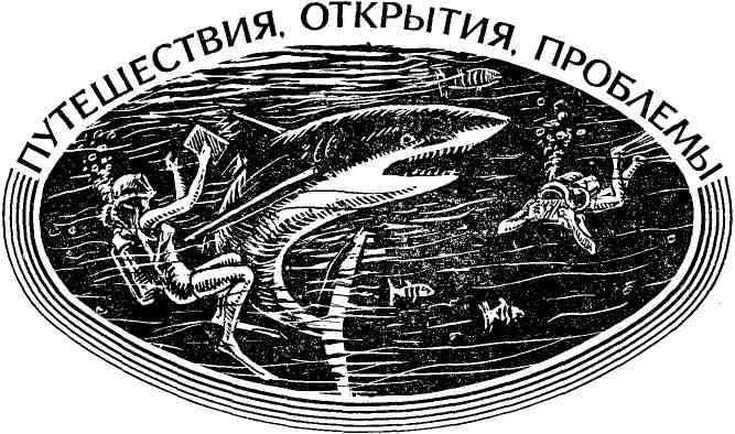 Океан. Выпуск пятый - img_8.jpeg